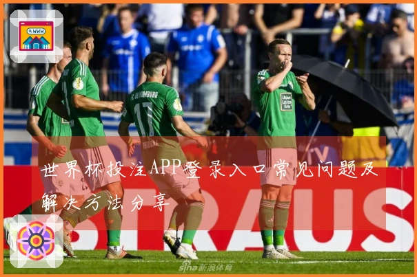 世界杯投注APP登录入口常见问题及解决方法分享