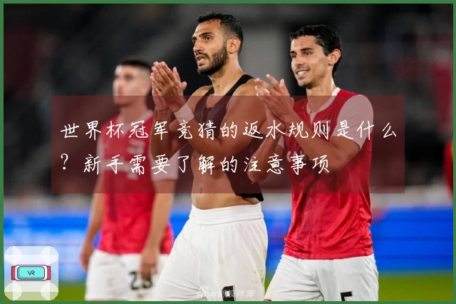 世界杯冠军竞猜的返水规则是什么？新手需要了解的注意事项