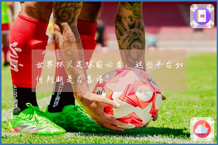 世界杯买足球前必看，这些平台如何判断是否靠谱？