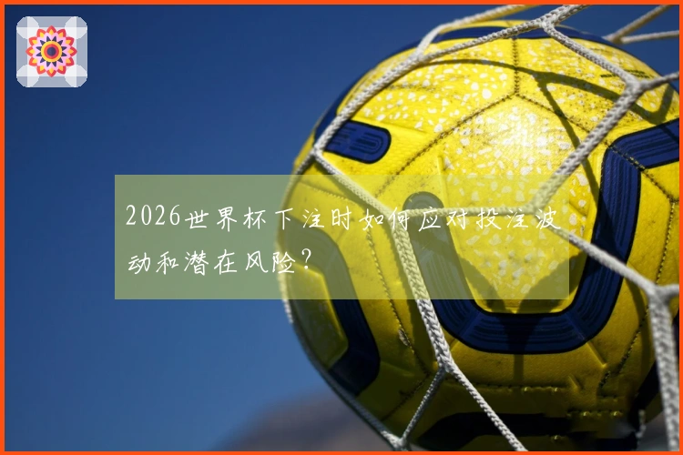 2026世界杯下注时如何应对投注波动和潜在风险？