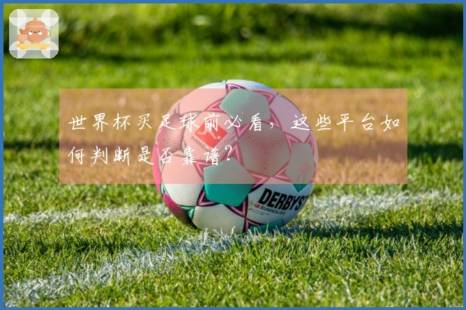世界杯买足球前必看，这些平台如何判断是否靠谱？